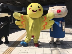 2017都市の日